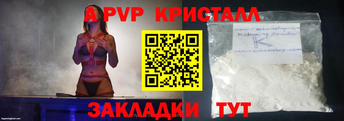 Alfa_PVP СК КРИС  APVP крисы CK  Дагестанские Огни  Вход с VPN 